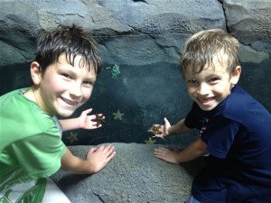 Improve Your Health, Visit an Aquarium