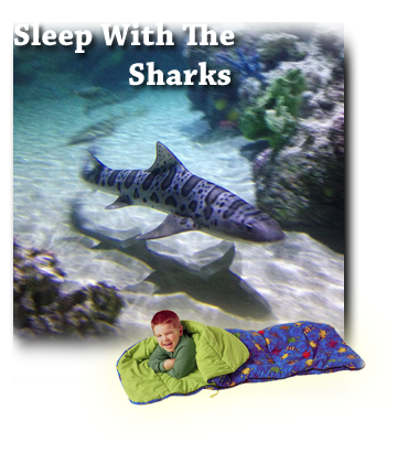 Sleep with the Sharks – Amazing Customer Review