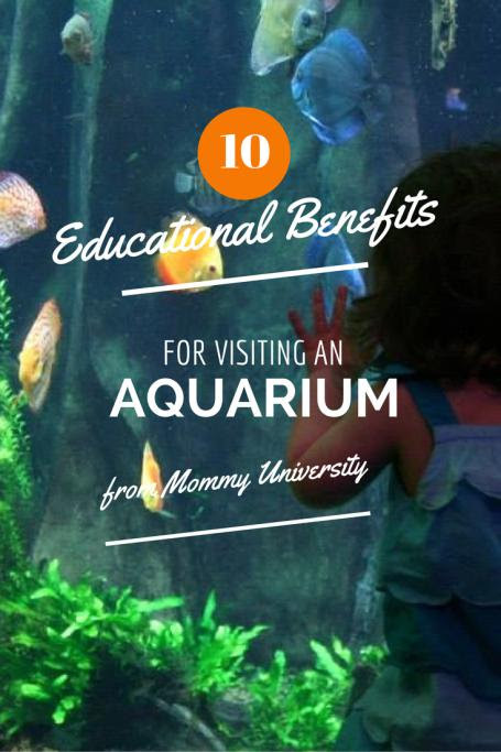 10 Educational Benefits