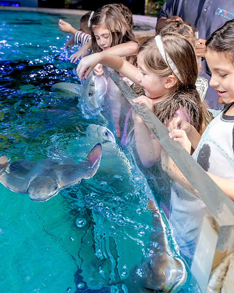 Top Ten Southern Aquariums