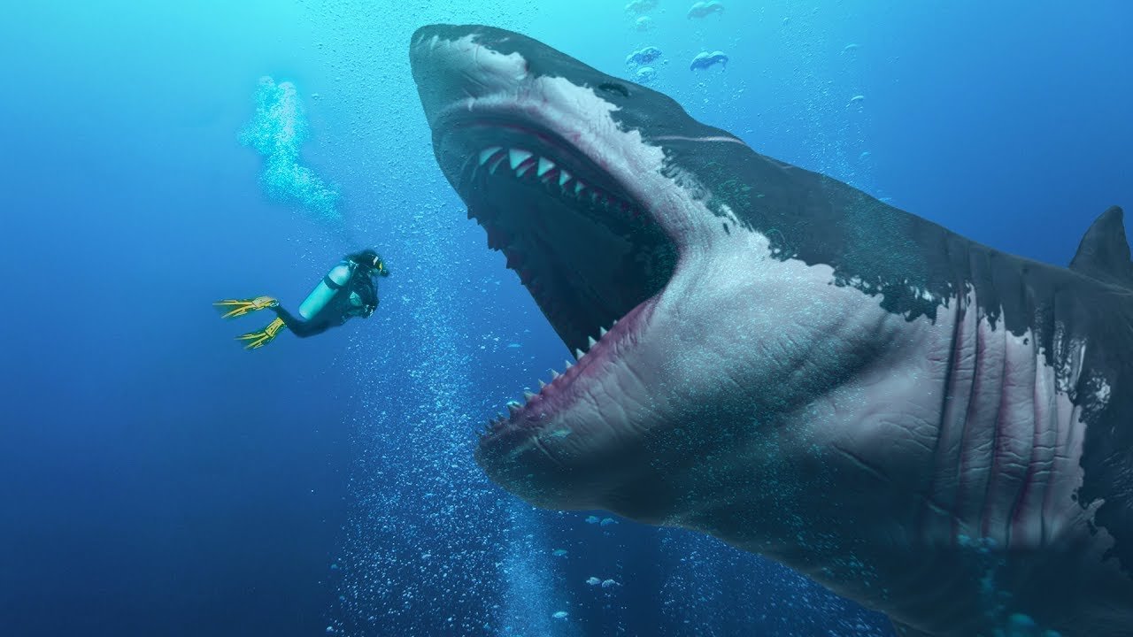 The Real Science Behind the Megalodon