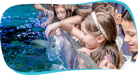 Looking for a Field Trip Austin Aquarium has Educational Field Trips