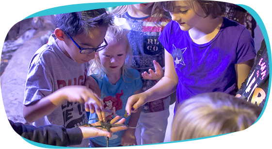 Austin Aquarium Educational Field Trips