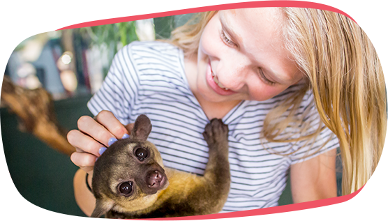 Austin Aquarium Kinkajou Encounter