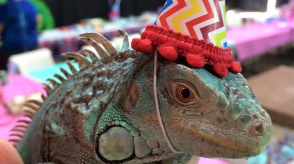 birthday_parties